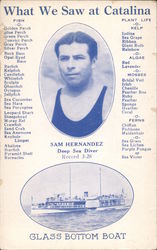 What We Saw at Catalina Sam Hernandez Deep Sea Diver Postcard