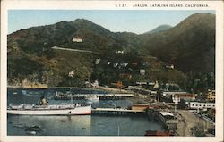 Boats, Pier - Catalina Island Postcard