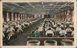 Interior of a Large Cigar Factory Postcard
