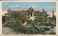 Main Building of the University of Arizona Tucson, AZ Postcard Postcard Postcard