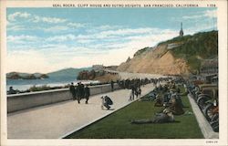 Seal Rocks, Cliff House and Sutro Heights Postcard