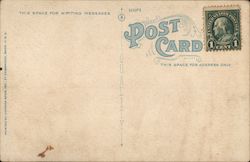 back