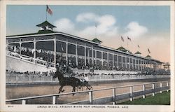 Grand Stand, Arizona State Fair Grounds Postcard