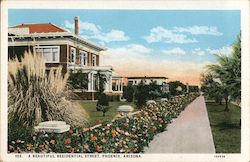 A Beautiful Residential Street Postcard