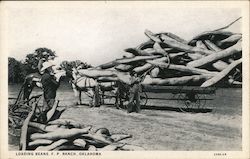Loading Beans, Frank Phillips Ranch Postcard