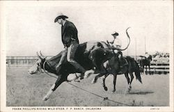 Frank Phillips Riding Wild Steer, F. P. Ranch Bartlesville, OK Postcard Postcard Postcard