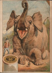 Elephant Tied Up in String: J&P Coats Best Six Cord Spool Cotton Trade Card