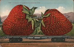 A Carload of Mammoth Strawberries From.... Exaggeration Postcard Postcard Postcard