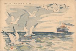 Baltic America Line-Only Direct Line-Danzig-Halifax-New York Estonia 12000 Tons, Lituania 12000 Tons, Polonia 15000 Ton Steamers Postcard