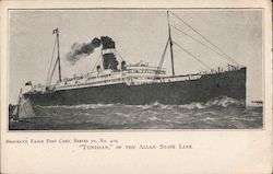 "Tunisian", Allan State Line Postcard