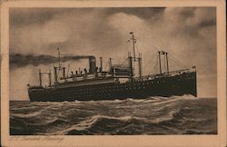 S.S. President Harding Postcard