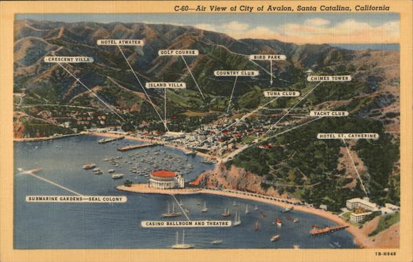 Air View of City of Avalon, Santa Catalina , California