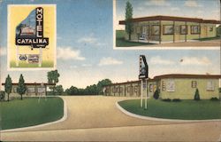 Motel Catalina Postcard