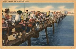 Public Fishing Pier Postcard