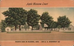 Apple Blossom Court Postcard