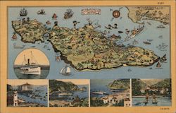 Topographical Cartoon Map of Catalina Island Postcard