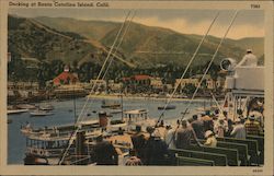 Docking at Santa Catalina Island Postcard