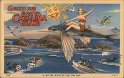 Greetings from Santa Catalina Island Postcard