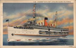 Steamer "Catalina" Postcard