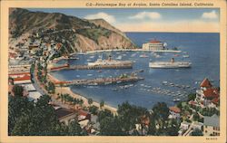 Picturesque Bay of Avalon Postcard