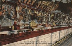 Famous Buckhorn Curio Museum - Original Buckhorn Bar View Postcard