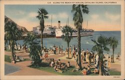 Along the Beach at Avalon Postcard