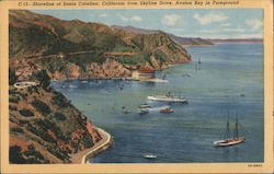 Shoreline of Santa Catalina from Skyline Drive, Avalon Bay in Foreground Postcard