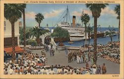 Crowds Greeting Daily Arrival of Steamer at Avalon, Santa Catalina, California Postcard