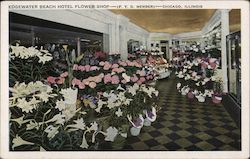Edgewater Beach Hotel Flower Shop Postcard