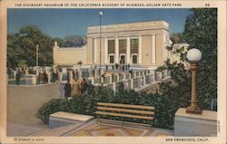 Stock #875716 Thumbnail