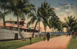 Palm Bordered Walk Along the Bay at Miami Florida Postcard Postcard Postcard