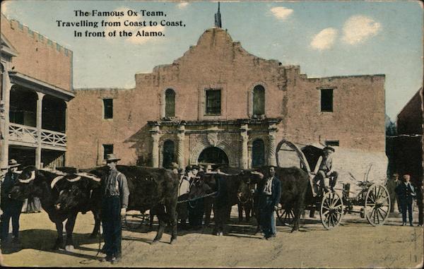 The Famous Ox Team, Travelling from Coast to Coast in front of the Alamo San Antonio Texas