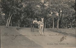Dockery Park Postcard