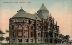 State Medical College Galveston, TX Postcard Postcard Postcard