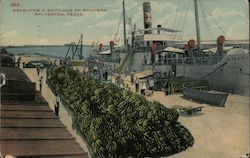 Receiving A Shipload of Bananas Postcard