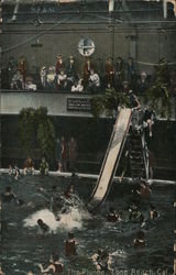 The Plunge Postcard