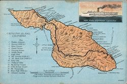 Catalina Island, California Postcard