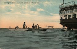 Diving for Coins, Avalon Postcard
