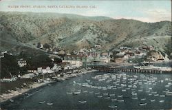 Water Front, Avalon Postcard