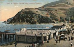 Scene at Avalon, Showing Aquarium Santa Catalina Island, CA Postcard Postcard Postcard