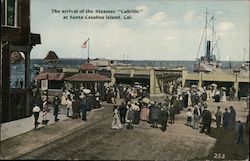 The Arrival of the Steamer "Cabrillo" Postcard