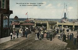 The Arrival of the Steamer "Cabrillo" Santa Catalina Island, CA Postcard Postcard Postcard