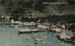 Main View Looking South Santa Catalina Island, CA Postcard Postcard Postcard