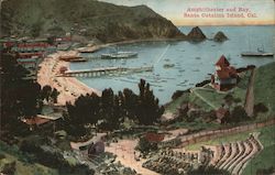 Amphitheater and Bay Santa Catalina Island, CA Postcard Postcard Postcard