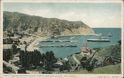 Avalon Looking North, Santa Catalina Island Postcard