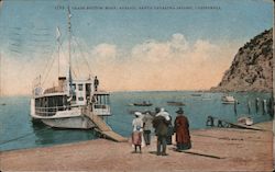 Glass Bottom Boat, Avalon Postcard