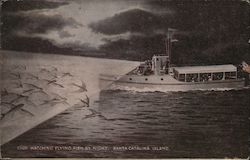 Watching Flying Fish By Night Santa Catalina Island, CA Postcard Postcard Postcard