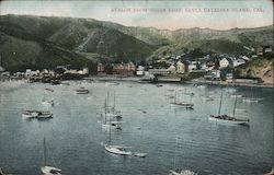 Avalon from Sugar Loaf Santa Catalina Island, CA Postcard Postcard Postcard