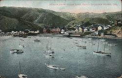 Avalon from Sugar Loaf Postcard