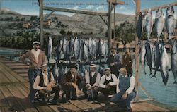 A Catch of Albacore Postcard